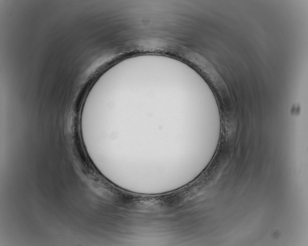 X0000101110583200807241137
