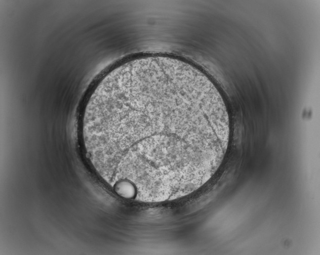 X0000101110584200807241137