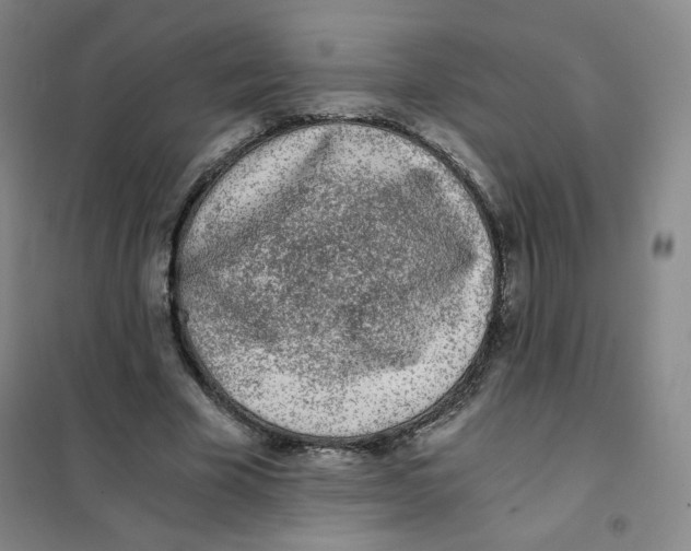 X0000101110585200807241137