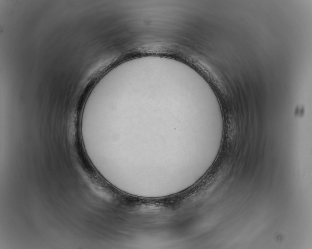 X0000101110586200807241137