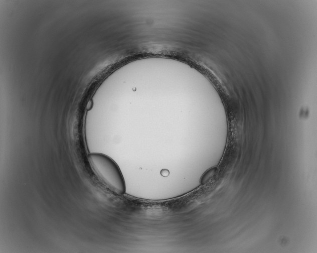 X0000101110587200807241137