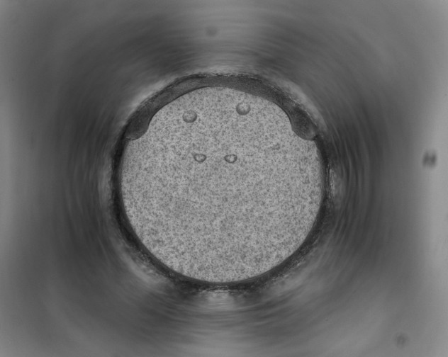 X0000101110588200807241137