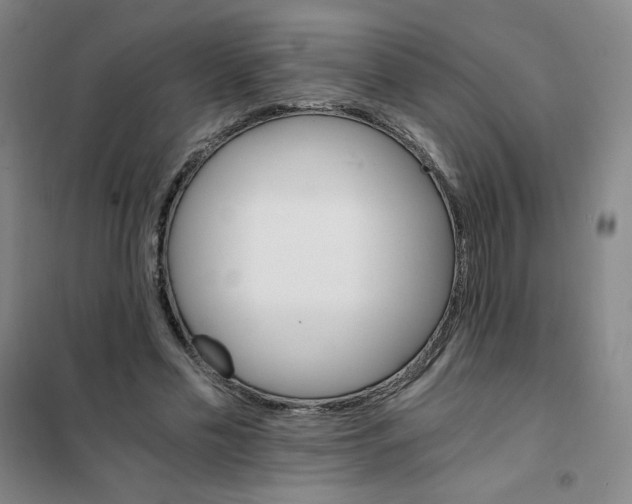 X0000101110589200807241137