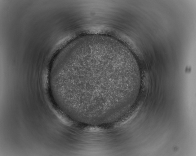 X0000101110590200807241137
