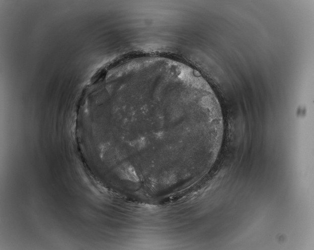 X0000101110592200807241137