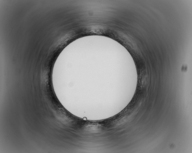 X0000101110595200807241137
