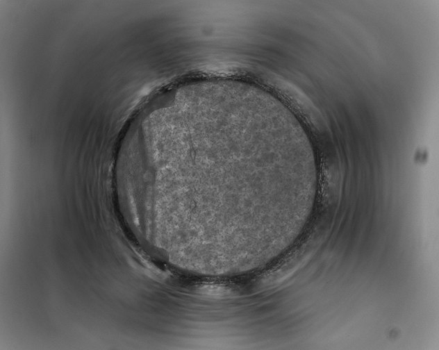 X0000101110596200807241137