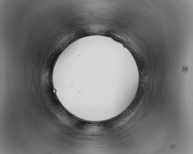 X0000101110597200807241137