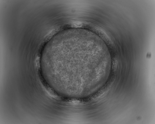 X0000101110598200807241137