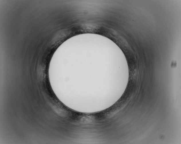 X0000101110599200807241137