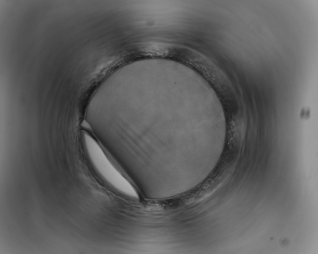 X0000101110600200807241137