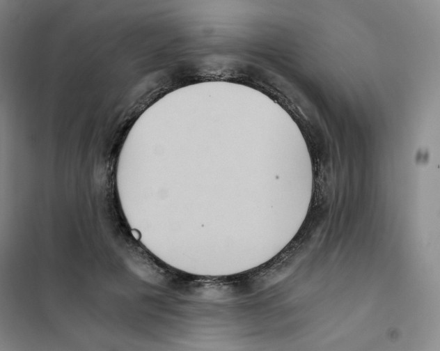 X0000101110601200807241137