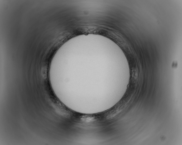 X0000101110602200807241137