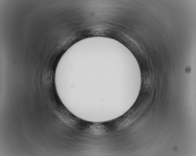 X0000101110603200807241137
