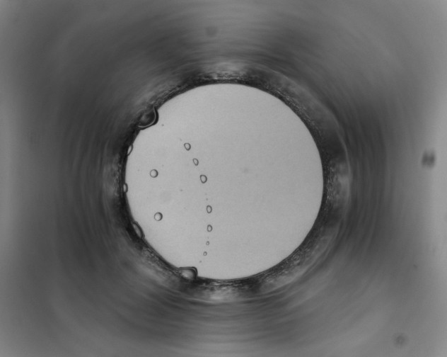 X0000101110604200807241137