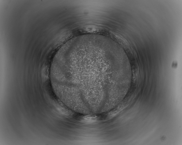 X0000101110606200807241137