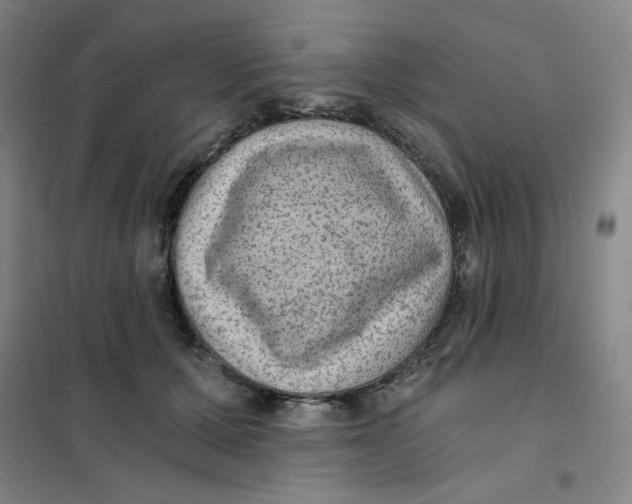 X0000101110607200807241137