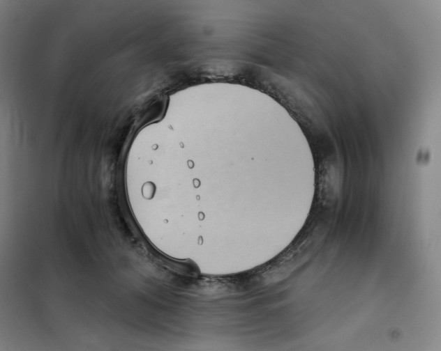 X0000101110608200807241137