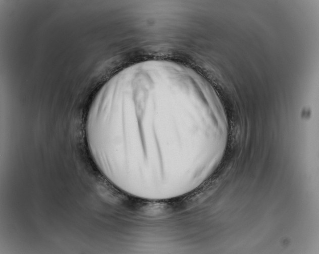 X0000101110609200807241137