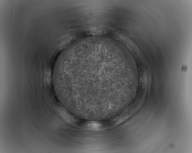 X0000101110610200807241137