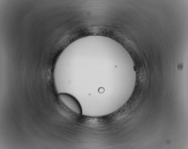 X0000101110611200807241137