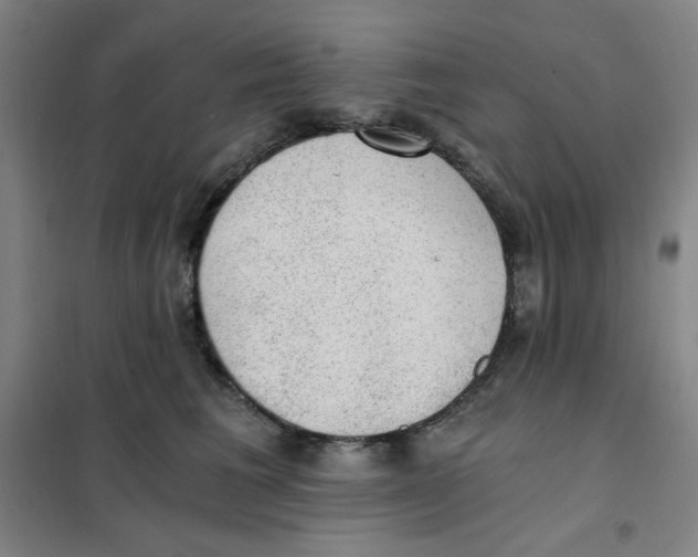 X0000101110613200807241137