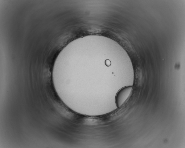 X0000101110614200807241137