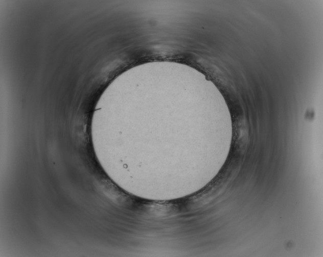 X0000101110615200807241137