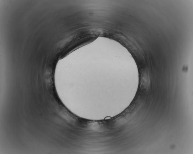 X0000101110616200807241137