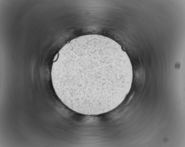 X0000101110617200807241137