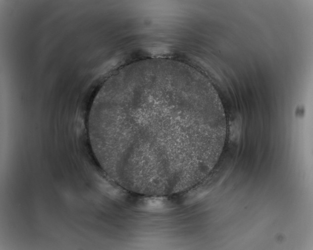 X0000101110618200807241137