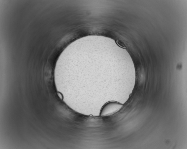 X0000101110619200807241137