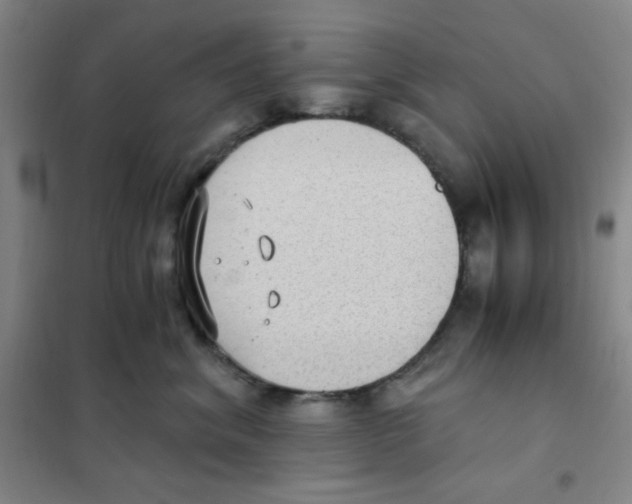 X0000101110620200807241137