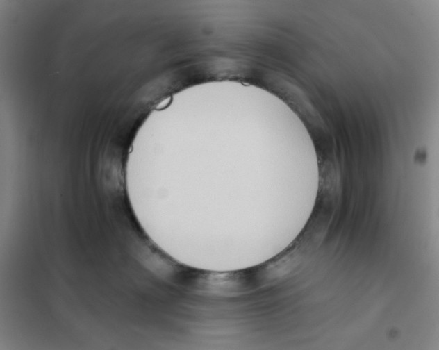 X0000101110622200807241137