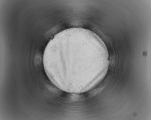 X0000101110623200807241137