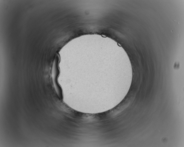 X0000101110624200807241137