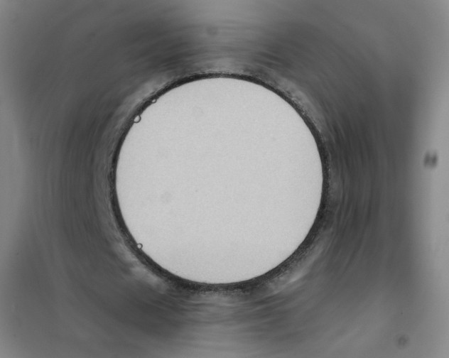 X0000101110625200807241136