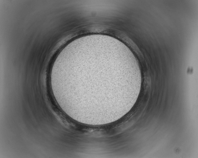 X0000101110626200807241136