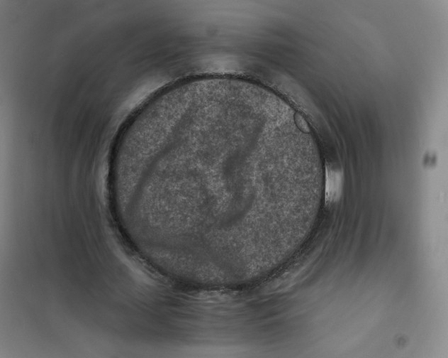 X0000101110627200807241136