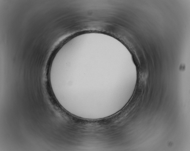 X0000101110628200807241136