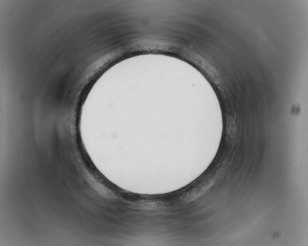 X0000101110629200807241136