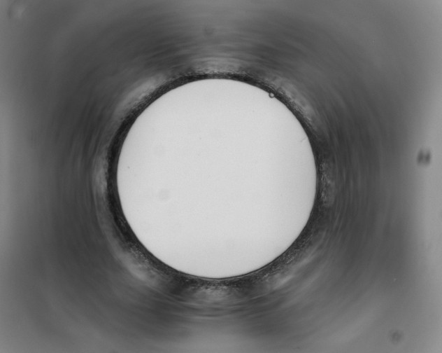 X0000101110631200807241136