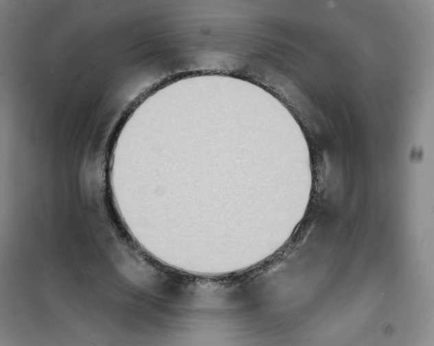 X0000101110632200807241136