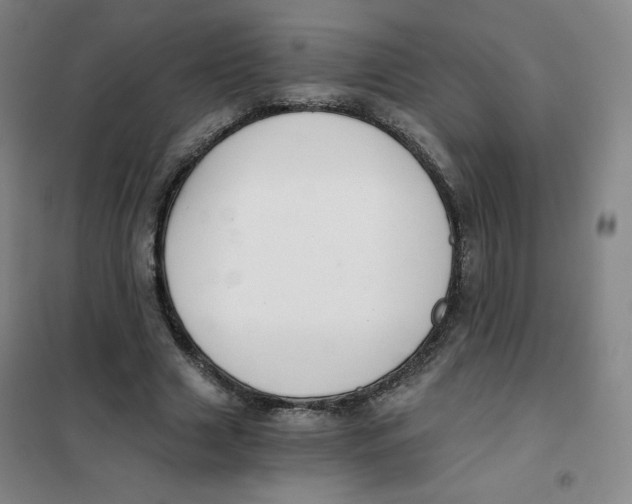 X0000101110633200807241136