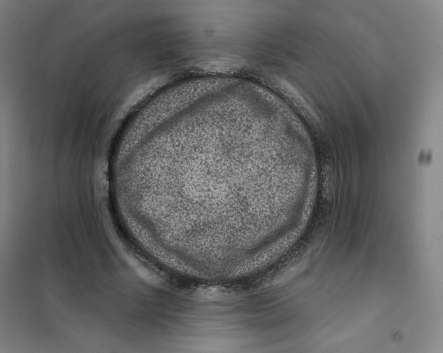 X0000101110634200807241136