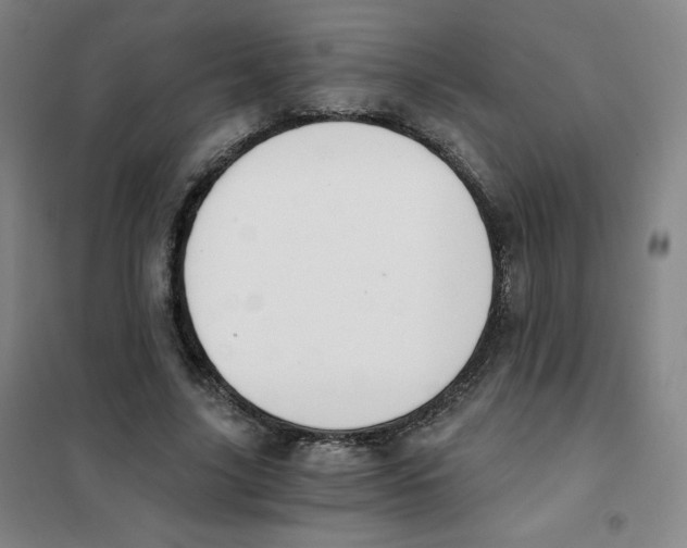X0000101110635200807241136