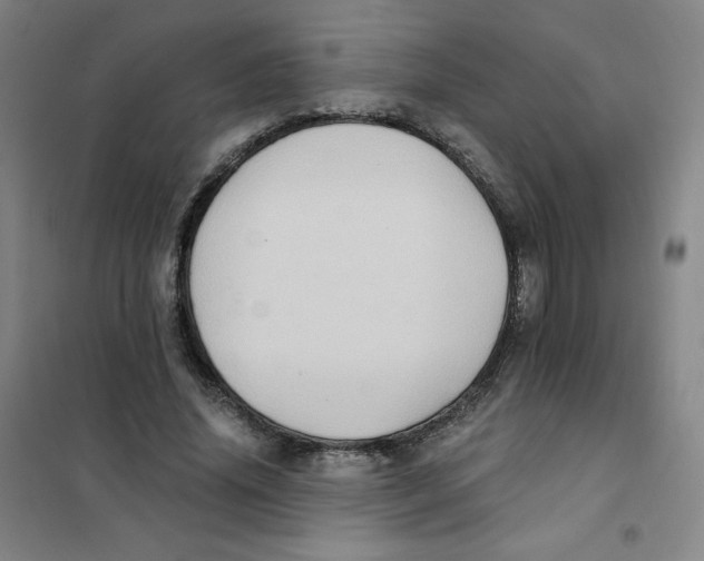X0000101110636200807241136