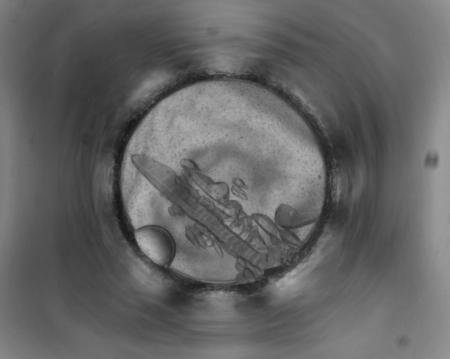 X0000101110637200807241136