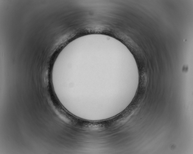 X0000101110638200807241136