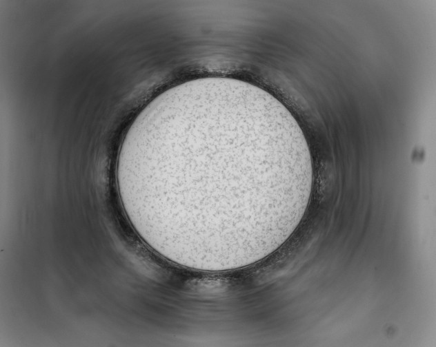 X0000101110639200807241136